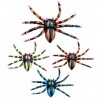 Set de 4 Araignées de couleurs 7,5 cm