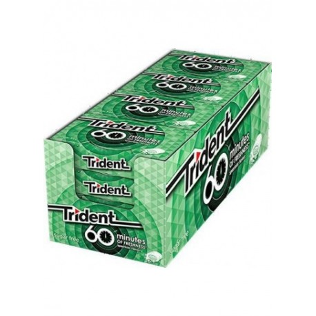 Trident 60 Minutes Menthe Poivrée Liquide